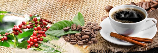 Công Ty Cà Phê Thành Thiện kính chào quý khách !